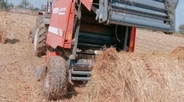 نمو متسارع في تجميع قش الأرز بالشرقية يجمع 40.8 ألف طن ويقوي الاقتصاد الزراعي